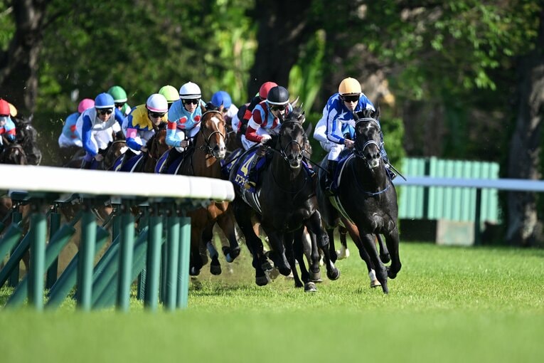 4コーナーの連続写真。ロブチェンに競りかけるリアライズシリウス（1枚目／全10枚） ©Keiji Ishikawa