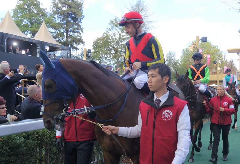 フィエールマン　凱旋門賞出走時