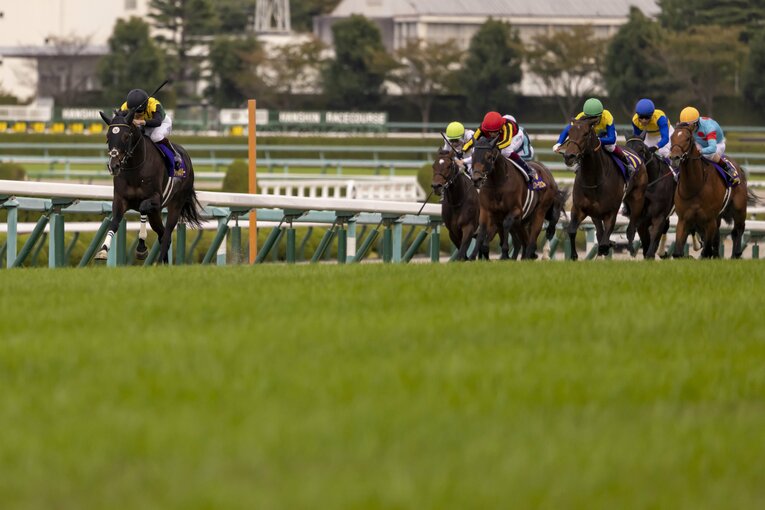 2021年10月、菊花賞を逃げ切って勝利し、GI初制覇（鞍上は横山武史）。牡馬三冠はエフフォーリア、シャフリヤール、タイトルホルダーで分け合う形となった　©Photostud