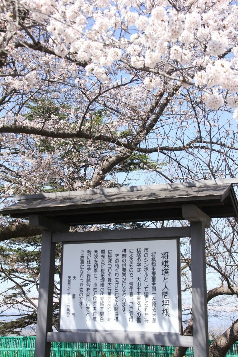 藤井聡太竜王「大変参考になったで“ござる”」初出演した《人間将棋》を現地取材… 観る将マンガ家が超楽しんで描いてみた(16)