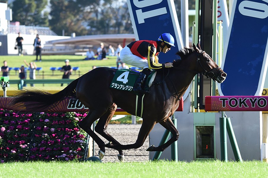 朝日杯FSを勝って2歳女王になる。大器グランアレグリアの大きな野望。<Number Web> photograph by NIKKAN SPORTS