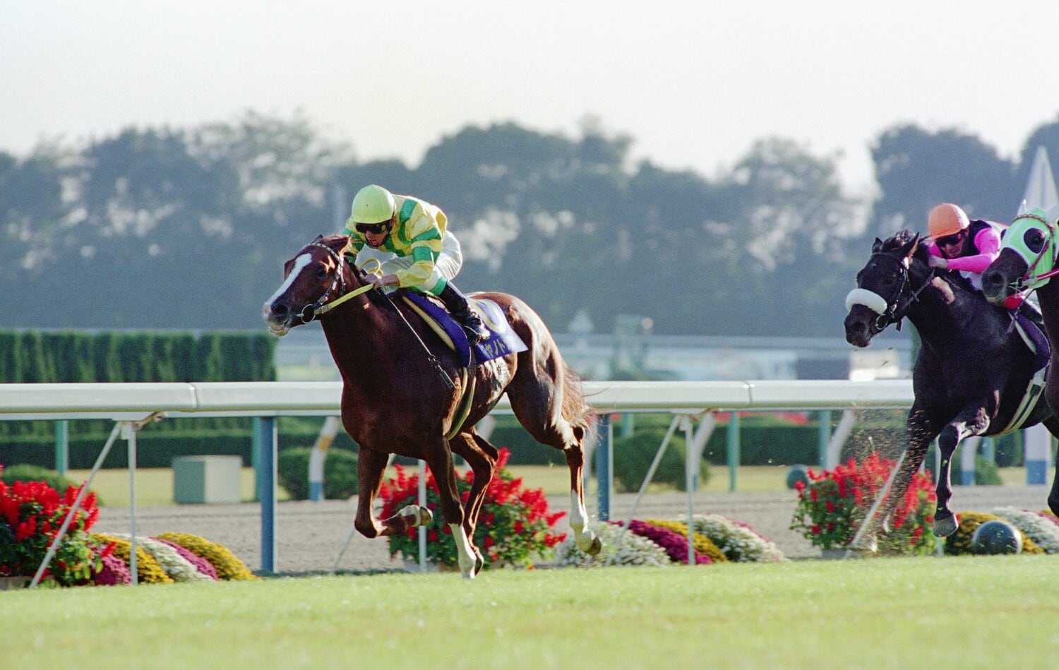 菊花賞を当時のレコードタイムで勝利するなど、マヤノトップガンもまた名馬だった　©JIJI PRESS