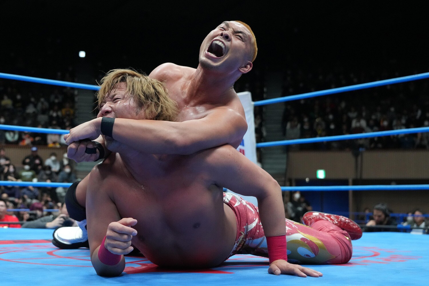 STFで宮原健斗を絞め上げる中嶋勝彦 ©Essei Hara