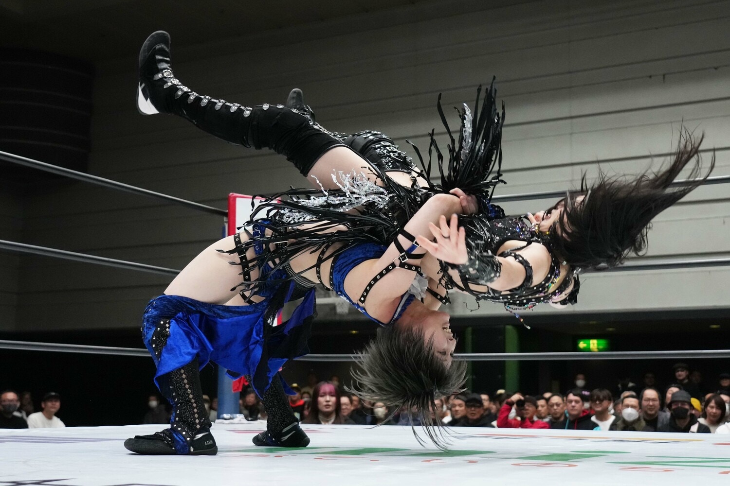 きれいなジャーマンスープレックスで上谷沙弥を投げる安納サオリ　©Essei Hara