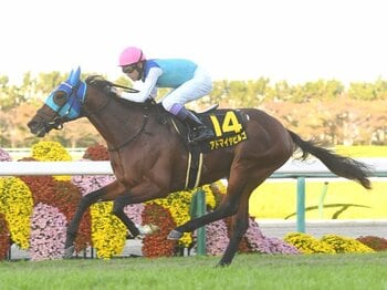 「6億円で0戦0勝」の馬も…セレクトセール“高額落札馬は走らない”は真実か？ 歴代トップ10の“意外なその後”「自分の値段以上に稼いだ馬は…」＜Number Web＞ photograph by Sankei Shimbun