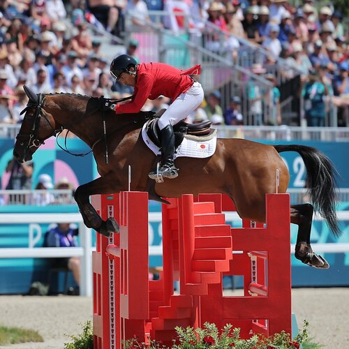 貴重「ボルト氏の馬術」 貴重「ボルト氏の馬術」