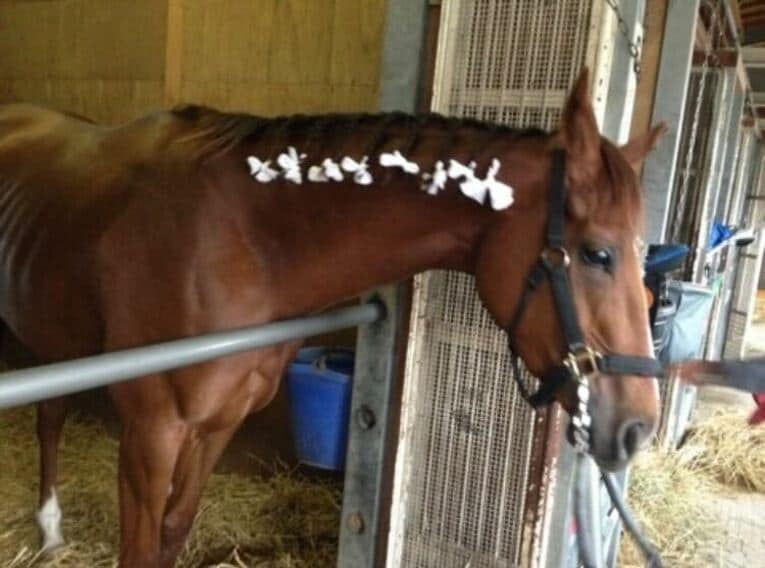 実際に施した三つ編み　写真は本人提供