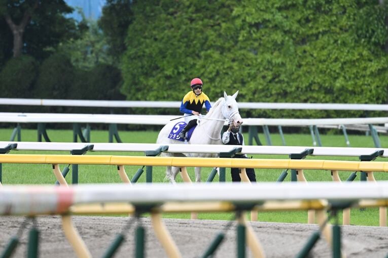 ソダシvsスターズオンアースは競馬史に残るレースとなるか？「ウオッカとダイワスカーレット」以来の“名牝ライバル誕生”を期待してしまう理由(42)