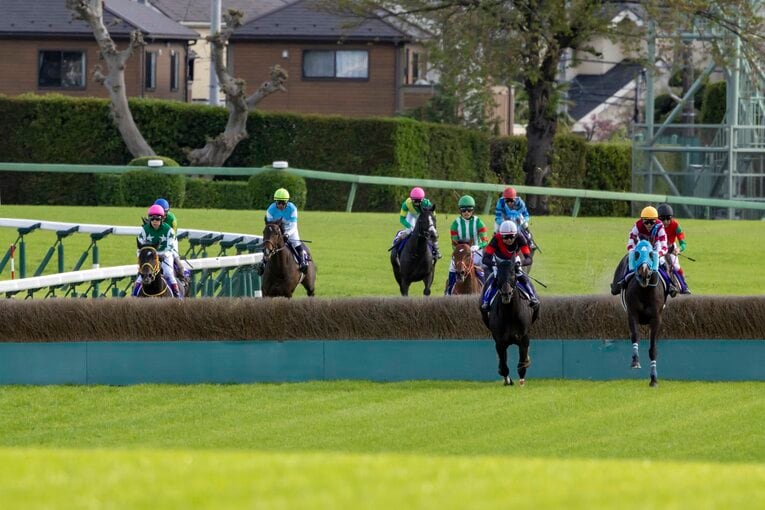 今年の中山グランドジャンプでも衰えぬレースぶりを見せつけたオジュウチョウサン（写真右）　©Photostud