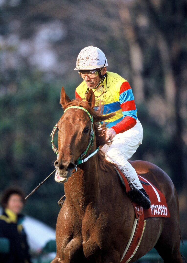 アグネスタキオン　©BUNGEISHUNJU