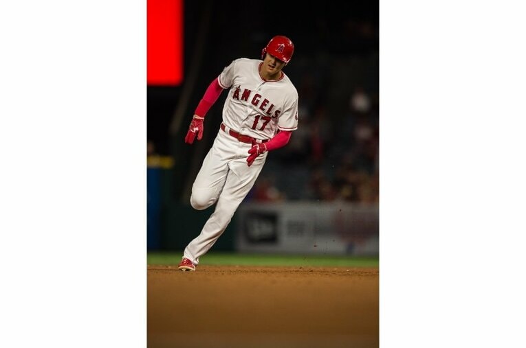 2018年©Nanae Suzuki