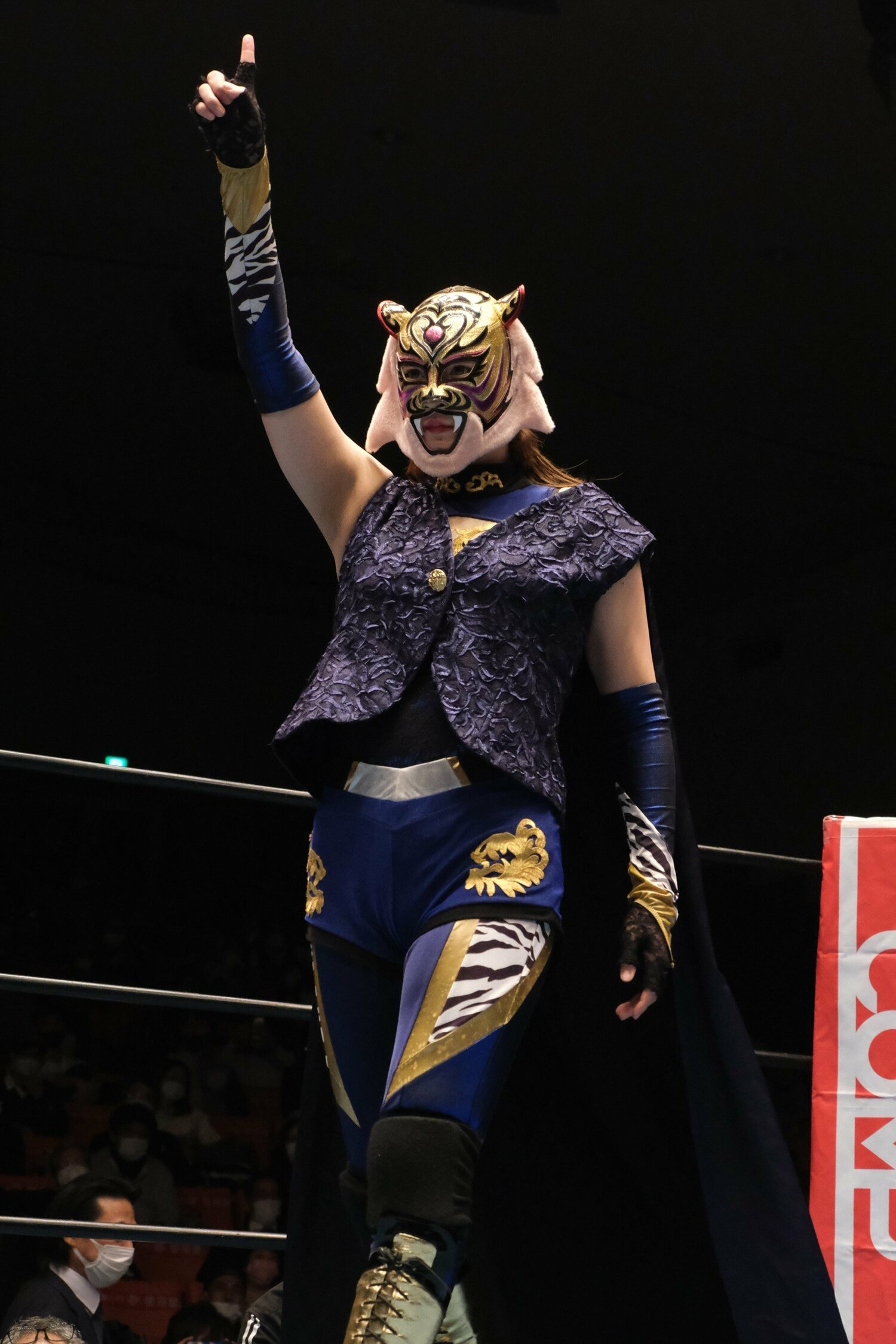 デビュー4戦目を迎えたタイガー・クイーン