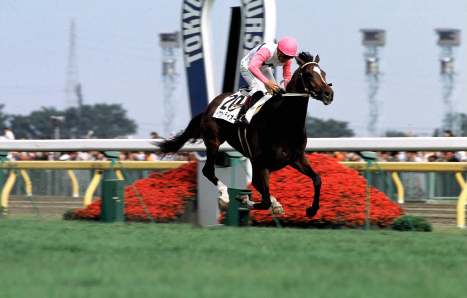 4位　トウカイテイオー（1991年）　©Tomohiko Hayashi