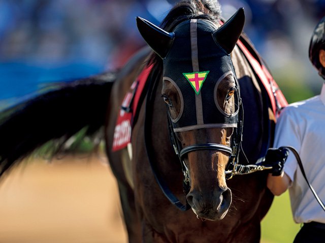 完全復活へ］デアリングタクト「今度は自分たちの番だから」 - 競馬