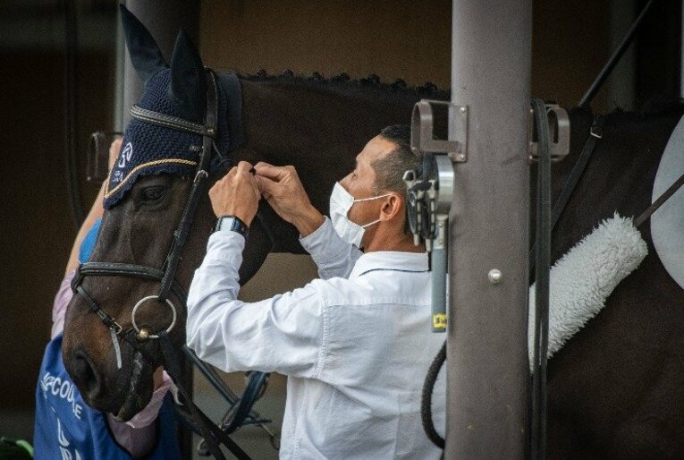 18着に負けたダービーの誘導馬に。サクセスブロッケンが遂に叶えた夢。(5)
