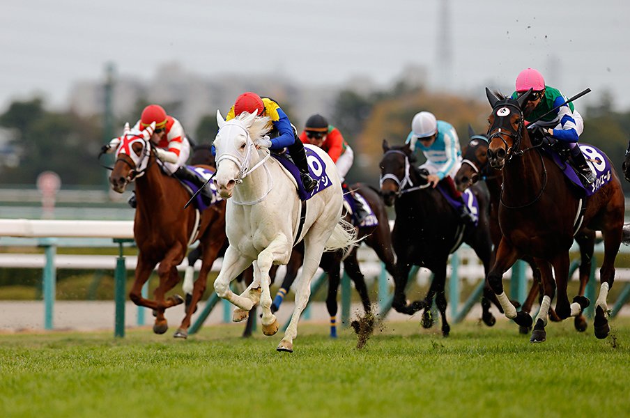 凄い勝負根性! 大激戦の阪神JFでソダシ白毛馬初のGI勝利 武豊は“31年前の伝説”再現ならず<Number Web> photograph by Photostud