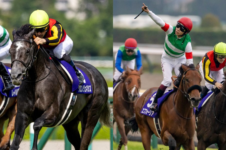 有馬記念の“二強”にはまったく同じ「大きな不安」が? 一方「この秋最高の状態」と絶賛の穴馬とは<Number Web> photograph by Photostud