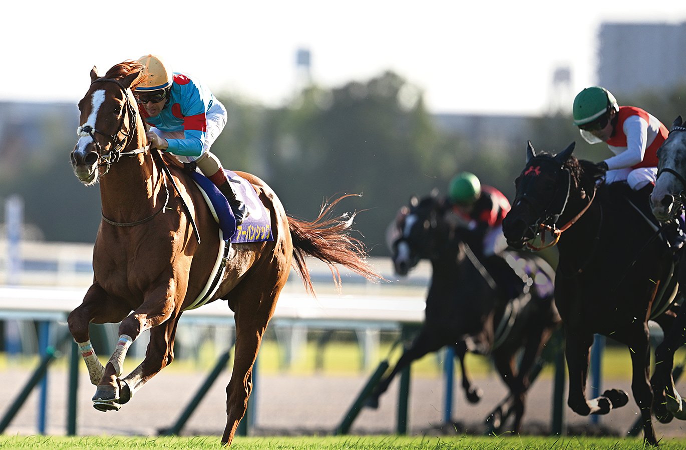菊花賞の明暗】アーバンシック2馬身半差の快勝…名手ルメールは「馬を