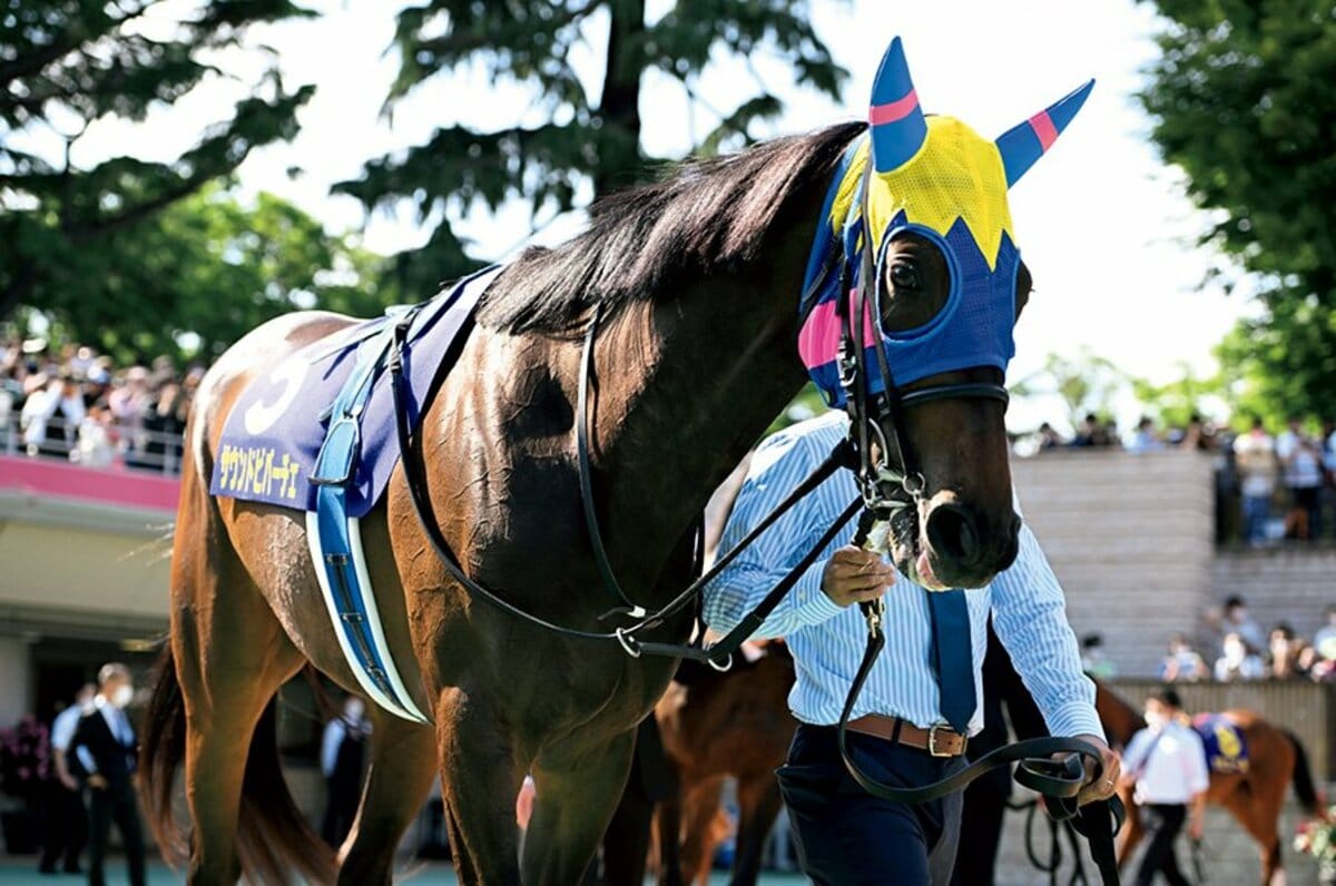 レースの途中でcmが オークスでの 放馬事件 でも話題となった 出走取消 制度 日本と海外では全然違うってホント 競馬 Number Web ナンバー