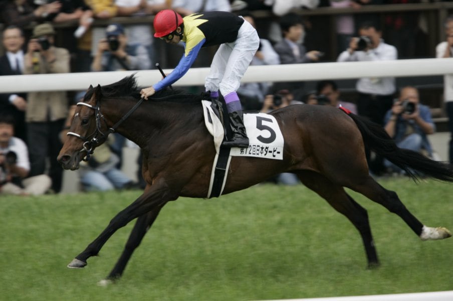 1位はやっぱりディープインパクト、では2位と3位は？「あなたが選ぶ“最高のダービー馬”はどの馬ですか？」ベスト5発表《600人アンケート》＜Number Web＞ photograph by Takuya Sugiyama
