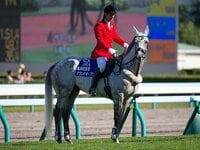 サイレンススズカ 弥生賞 弥生賞 1997年／ランニングゲイル - YouTube