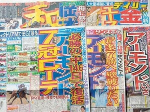 恐竜と哺乳類のメディアサバイバル。~WEBにまだない新聞の取材力~