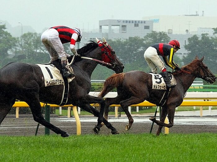 注目はオルフェに再び挑む“あの馬”。スターホース続々欠場の有馬を読む。<Number Web> photograph by Yuji Takahashi