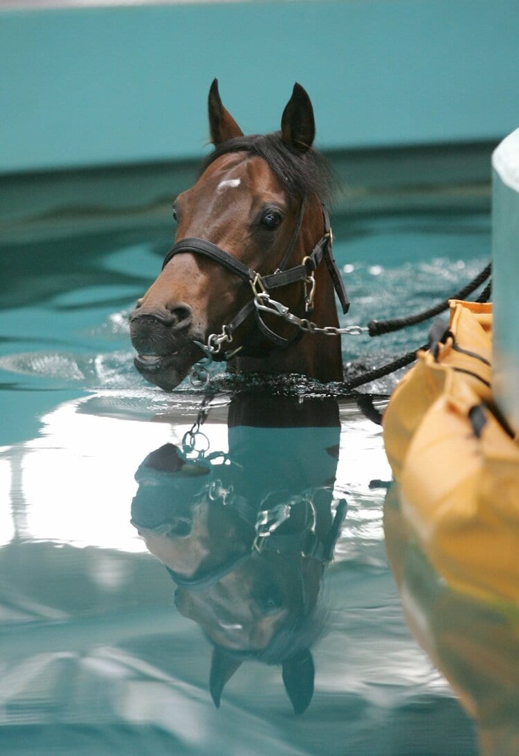 栗東って読めますか？ 滋賀県にある“ナゾの競馬駅”「JR栗東駅」には何