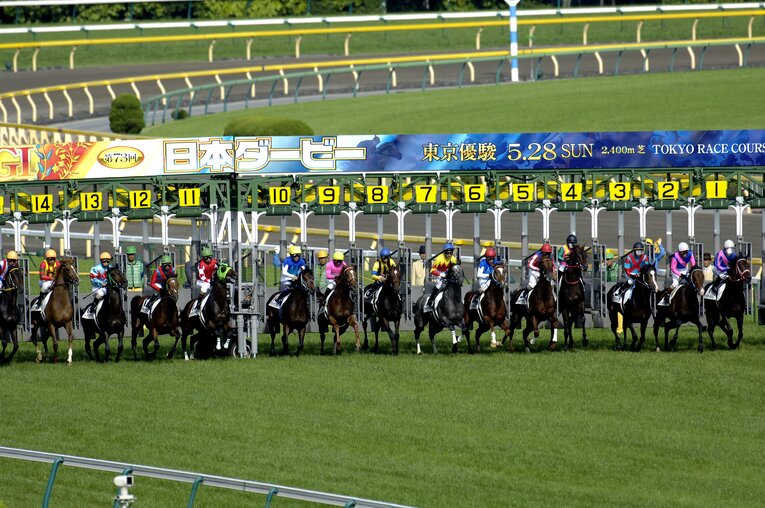 1枠2番メイショウサムソン（石橋守騎手）、3枠6番アドマイヤメイン（柴田善臣騎手）、5枠10番アドマイヤムーン（武豊騎手）、8枠17番フサイチジャンク（岩田康誠騎手）　©Takuya Sugiyama