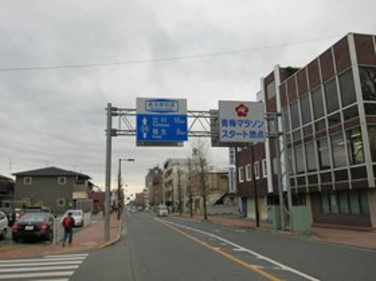 東京マラソンと1週間違いで開催される青梅マラソン。倍率が異常に高くなった東京マラソンと違って、先着順の申し込み。ということで、こちらも大人気！