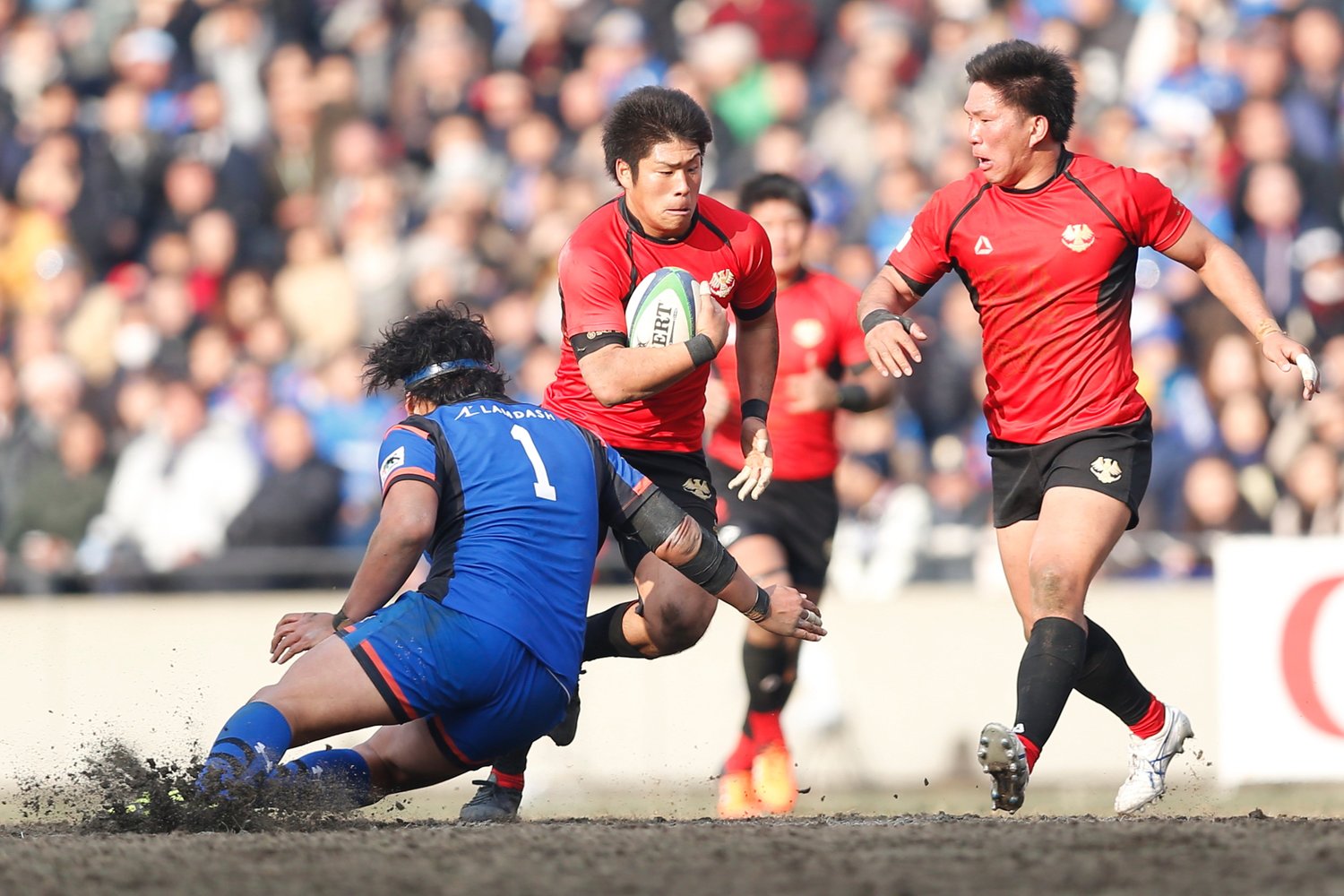 2016年日本選手権決勝でパナソニックと戦う帝京大の松田力也　©AFLO SPORT