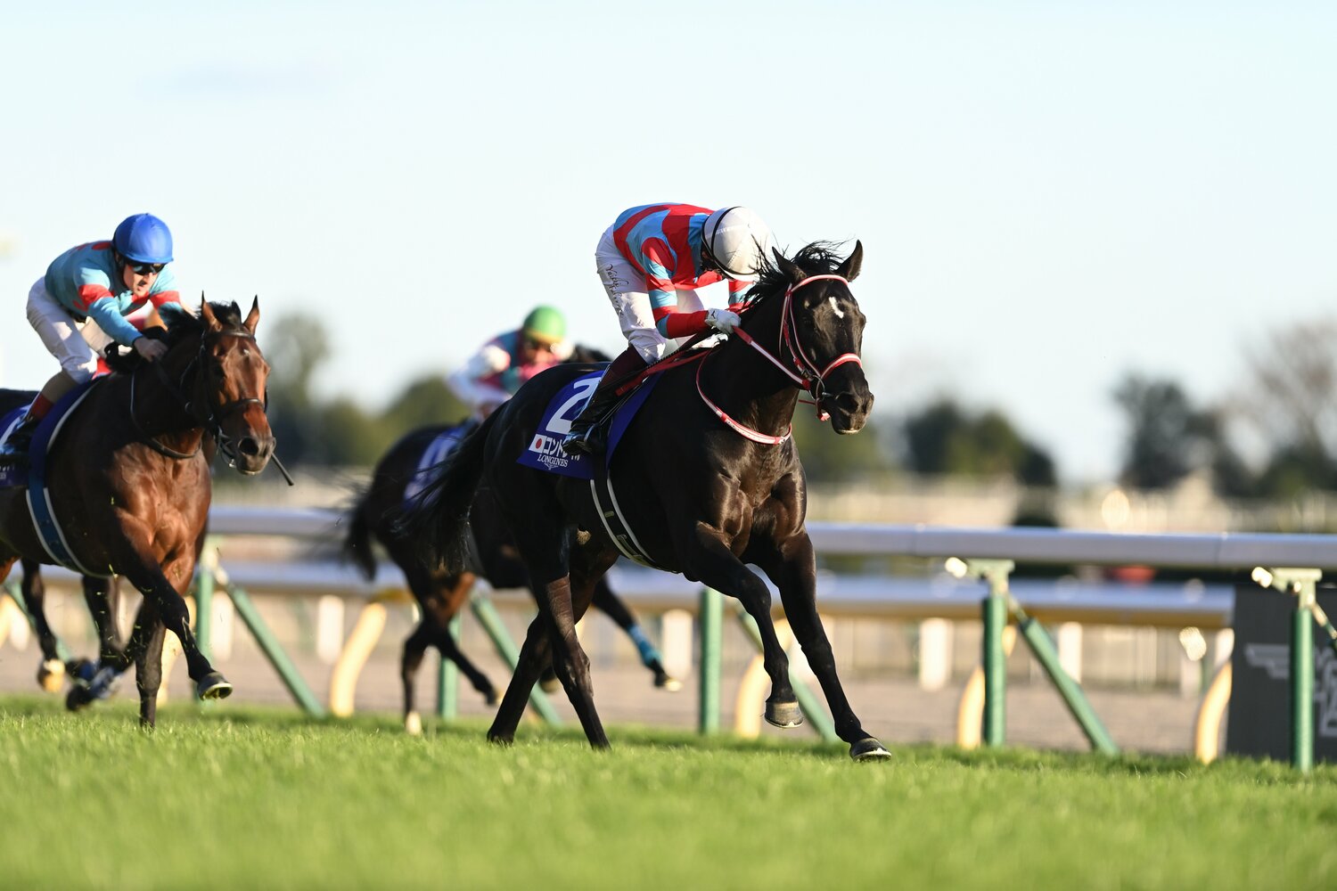 昨年11月のジャパンカップ。1着コントレイル（福永）、2着オーソリティ（ルメール）　©BUNGEISHUNJU