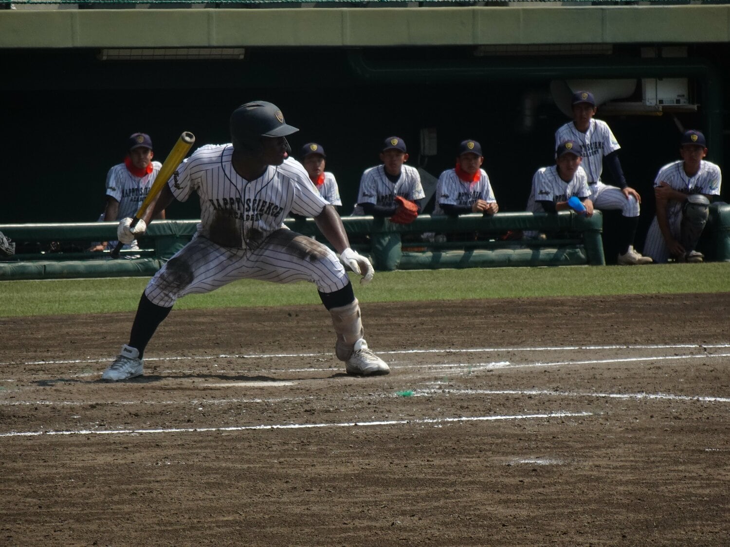 「ヤンキースが1億5000万円ぐらいで契約しようとしているという噂もあった」 ©Yuji Yanagawa