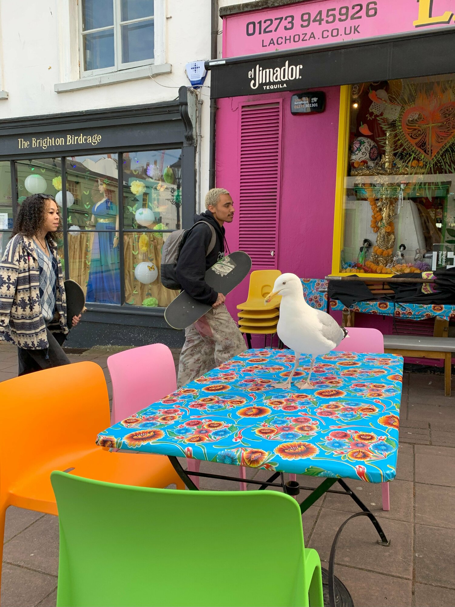 ブライトンの街並み。スケボーを持った男女、そしてカモメが……　©Yoichi Igawa　