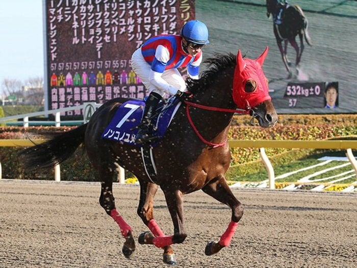 フェブラリーの本命は4歳か古豪か。崩れないノンコノユメの切れ味に◎。＜Number Web＞ photograph by NIKKAN SPORTS