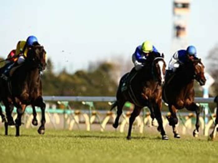 東西ともに役者が揃った、牡馬クラシック戦線。~関東の注目馬はJリーガー!?~<Number Web> photograph by Masakazu Takahashi