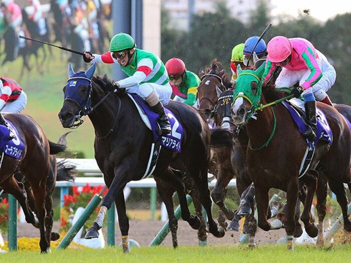 マリアライト、GI初参戦でエリ女戴冠。4歳で13戦目、この馬はまだ強くなる。<Number Web> photograph by Yuji Takahashi