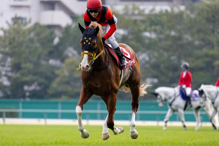 金鯱賞のジャックドール　©Photostud