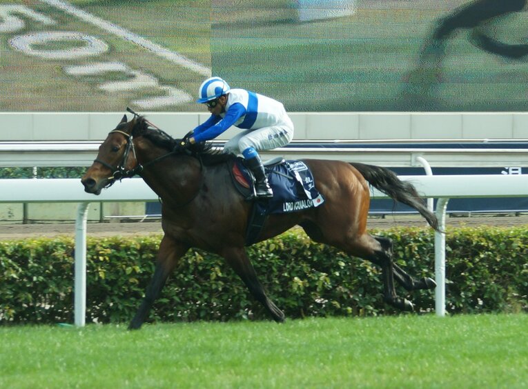 2着に5馬身差の圧勝で連覇を果たしたロードカナロア　©Satoshi Hiramatsu