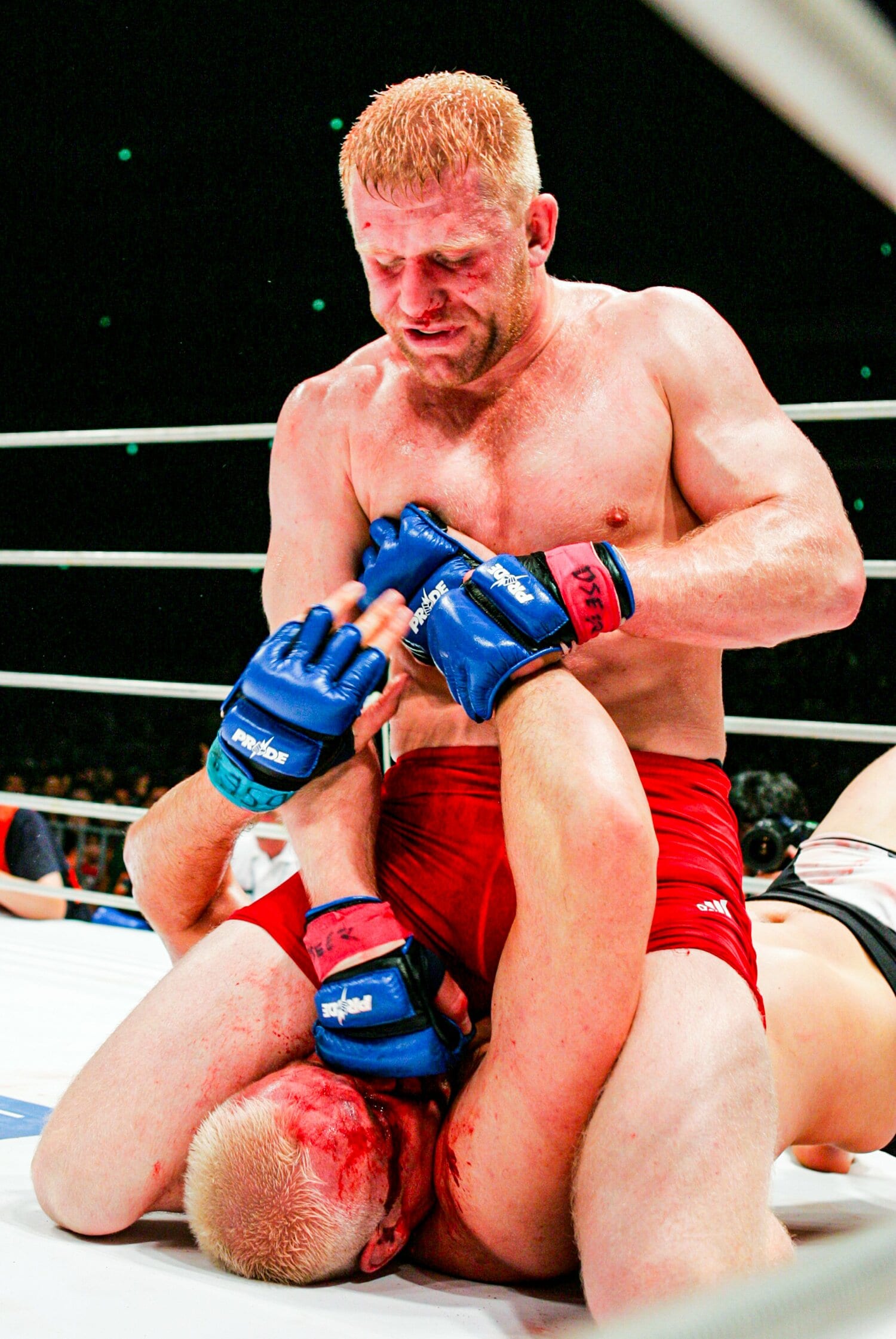 シュルトの顔面にパウンドを落とすハリトーノフ　©Susumu Nagao