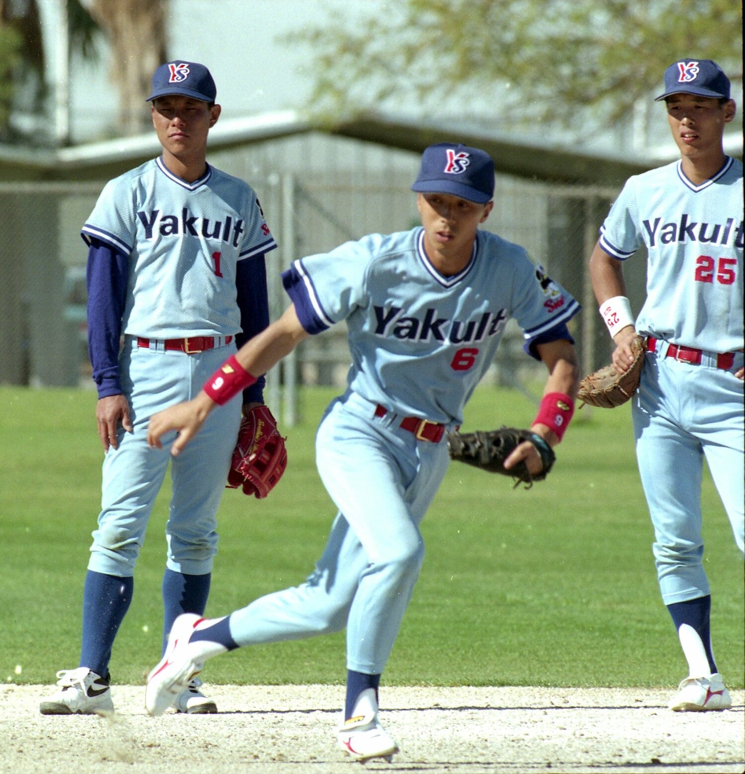 (左から)池山、宮本など黄金期のヤクルト内野陣は豪華な顔ぶれだった ©︎SANKEI SHIMBUN