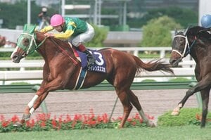 【宝塚編を読む】「なぜ宝塚歌劇の町に競馬場がある？」「阪神競馬場には行くけれど…」阪急電車の“ナゾの競馬駅”「仁川駅」には何がある？《宝塚記念》