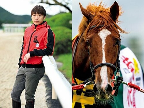 【現地】オルフェーヴル　日本ダービー【的中】 JRAホームページ｜データファイル｜競走成績データ