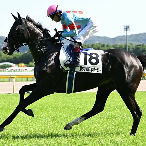 イクイノックス　出資者限定　天皇賞・秋 イクイノックス出資者限定天皇賞・秋