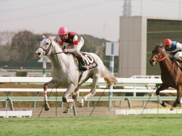 「あの馬が世代最強」「来年は全部これに持っていかれるな」名手たちが絶賛した“消えた天才”…28歳で大往生“芦毛の怪物候補”を覚えているか＜Number Web＞ photograph by Sankei Shimbun