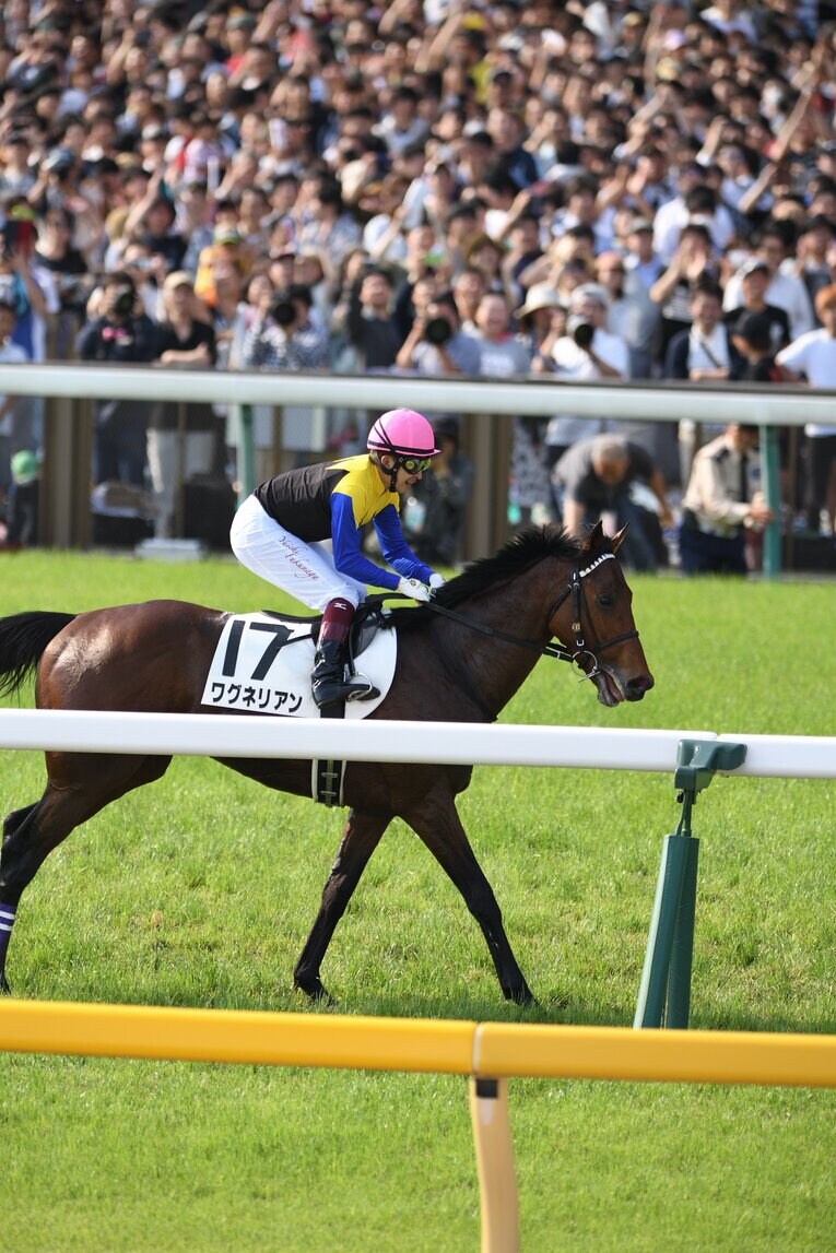 《現役馬が急死》ワグネリアンの未来を奪った“内臓疾患”はなぜ競走馬にとって危険なのか？「ホースマンは常にリスクに向き合っている」(9)