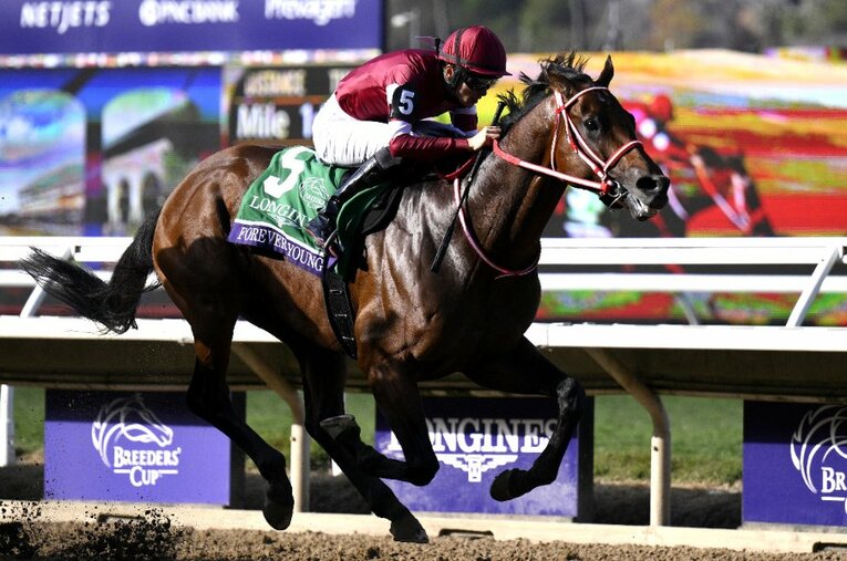 2025年の年度代表馬フォーエバーヤング。坂井瑠星騎手とともに『Number MVP賞』にも輝いた ／ photograph by Getty Images