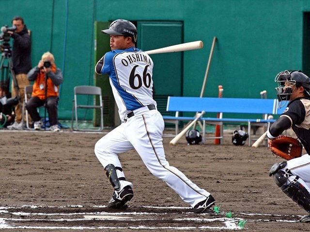 元日本ハムファイターズ大嶋選手 NPBバット