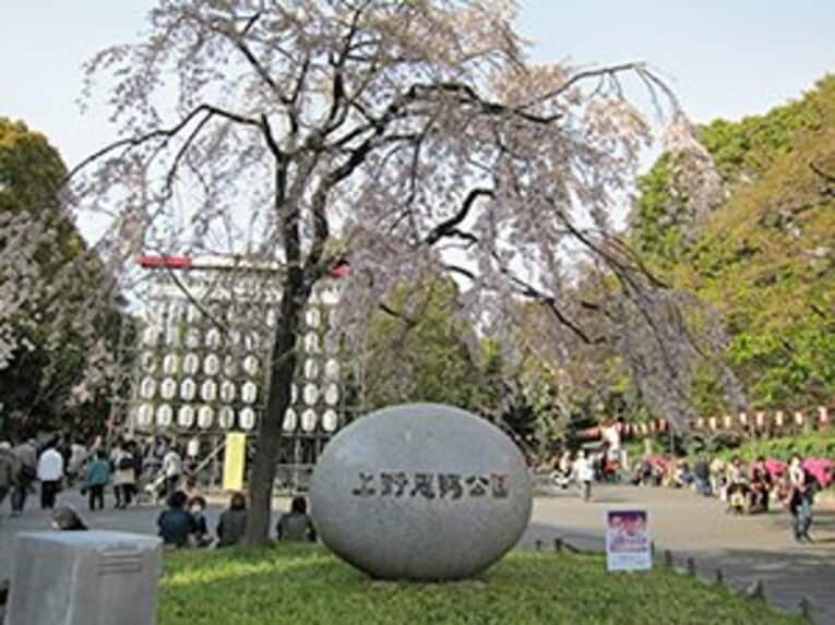 宴会自粛の千鳥ヶ淵、上野、谷中。桜の下で震災後の日本を考えた。(6)