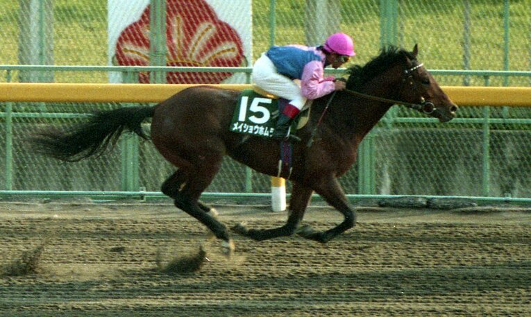 1993年のフェブラリーHを制したメイショウホムラ　©Sankei Shimbun